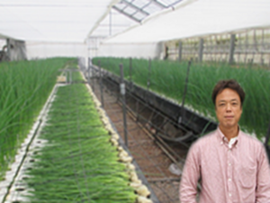 有限会社オアシスランド-top