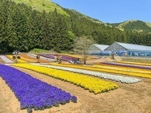 日光花いちもんめ-top