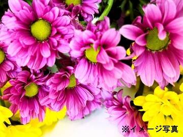 有限会社石井ファーム-5