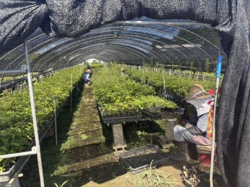 有限会社芳坂樹苗園-4