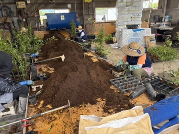 有限会社芳坂樹苗園-5