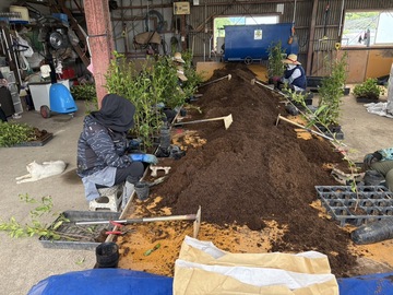 有限会社芳坂樹苗園-8