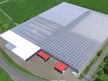 株式会社北海道サラダパプリカ-1