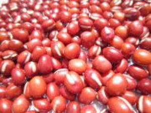 北海道石狩市×倉庫内作業スタッフ/法人【42371】-top