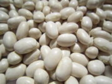 北海道石狩市×倉庫内作業スタッフ/法人【42371】-4