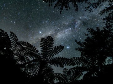 沖縄県国頭村 地域おこし協力隊インターン募集-8