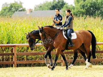 千葉県佐倉市×乗馬クラブ/法人【42375】-1
