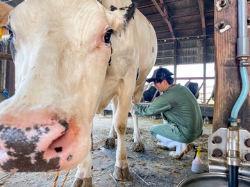 原牧場(島根県)-5