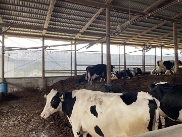 株式会社幸牧場-2