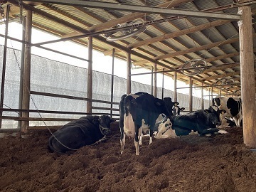 株式会社幸牧場-5