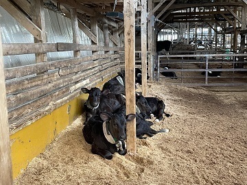 株式会社幸牧場-7