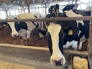 株式会社幸牧場-8