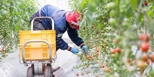 有限会社大地と自然の恵み