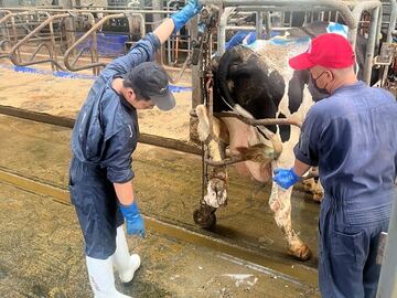 株式会社高橋牧場-5