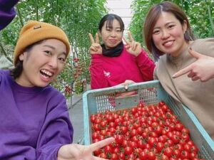 有限会社JAVU-top