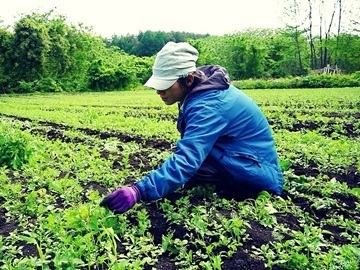 株式会社あいない-6