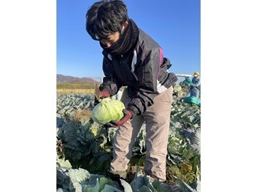 株式会社ブレスト-1