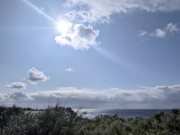 株式会社皆村農園-1