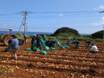 株式会社皆村農園-3