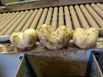 株式会社皆村農園-6