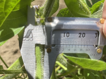 株式会社Zen Farms-6