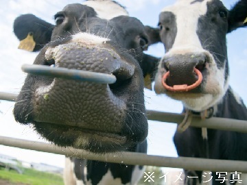 北海道黒松内町×酪農ヘルパー/法人【4110】-4