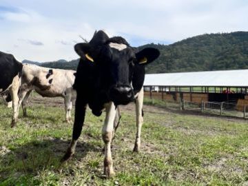 SSK DAIRY FARM株式会社-1