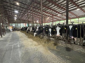 SSK DAIRY FARM株式会社-2