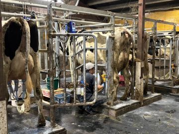 SSK DAIRY FARM株式会社-3