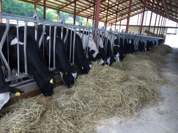 SSK DAIRY FARM株式会社-5