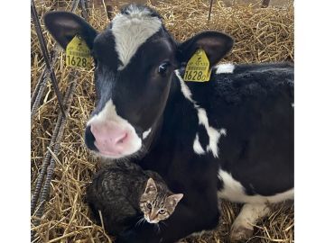 SSK DAIRY FARM株式会社-8