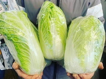 株式会社タスクファーム 長久手農場-1