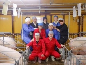 株式会社ドリームポーク-top