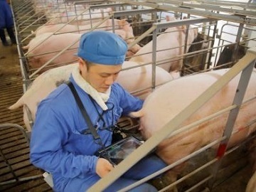 株式会社ドリームポーク-2