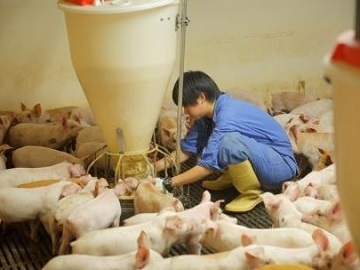 株式会社ドリームポーク-3