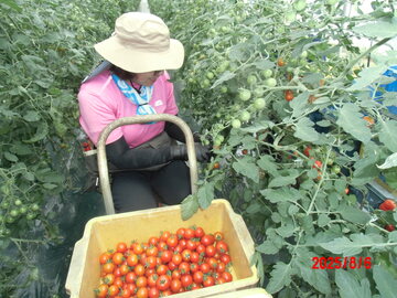 札幌市農業協同組合(JAさっぽろ)-4