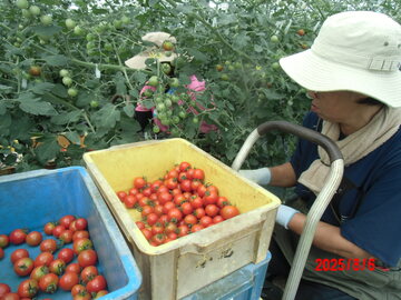 札幌市農業協同組合(JAさっぽろ)-6