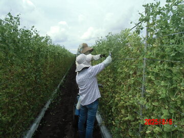 札幌市農業協同組合(JAさっぽろ)-3