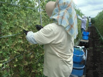 札幌市農業協同組合(JAさっぽろ)-5