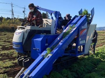 株式会社新緑あぐり-2