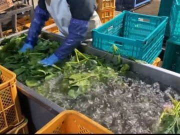 株式会社新緑あぐり-3