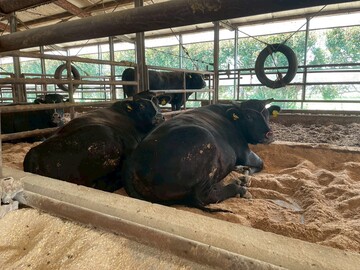 株式会社出口畜産-2