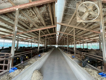 株式会社出口畜産-5