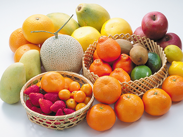 正和フード丸正春株式会社-1