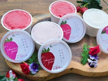 株式会社カジュレア-7