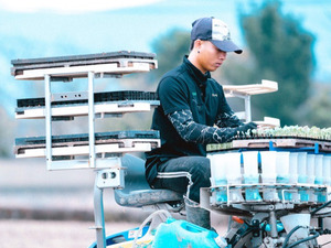 株式会社ステラ-top