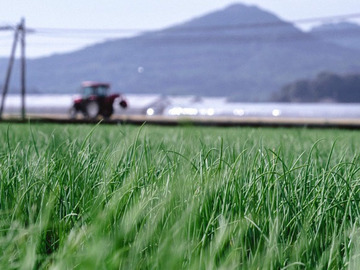 株式会社ステラ-1