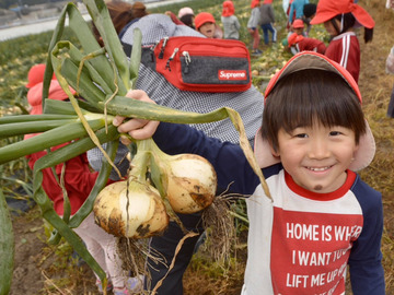 株式会社ステラ-3