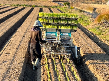 株式会社ステラ-5