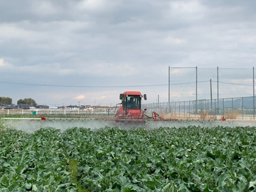 株式会社ステラ-6